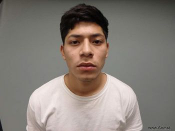 Brian  Diaz Mugshot