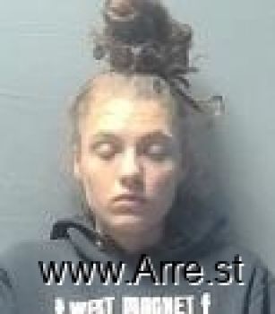 Brianna Ann Williams Mugshot