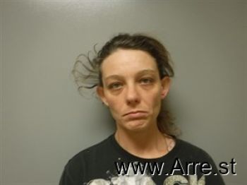 Brittany Diane Wilson Mugshot