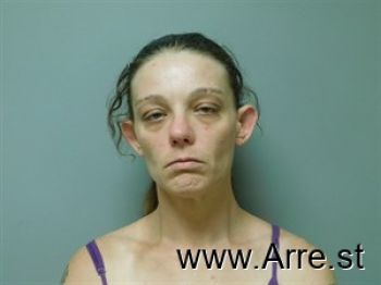 Brittany Diane Wilson Mugshot