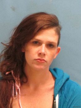 Brooke Lauren Wilson Mugshot