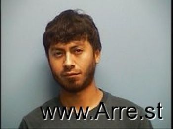 Carlos Ivin Delgado Mugshot