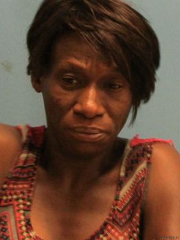 Carolyn Ann Perry Mugshot