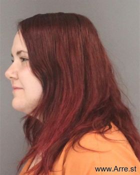 Chelsie Danielle Ahlheim Mugshot