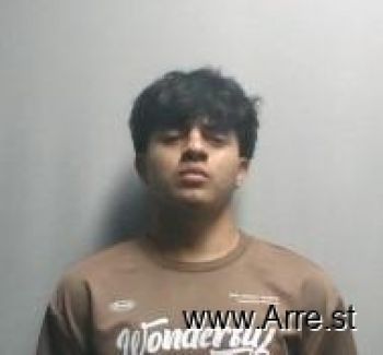 Christian Alexander Hernandez-velasquez Mugshot