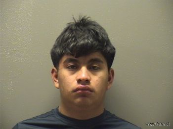 Christian  Martinez Mugshot