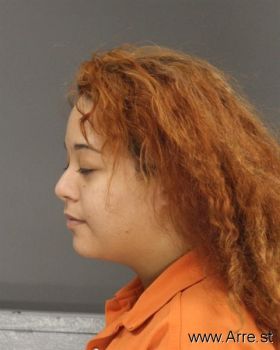 Christina Leeann Warden Mugshot