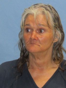 Cindy Leigh Hensley Mugshot