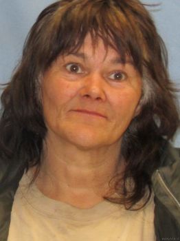 Cindy Leigh Hensley Mugshot