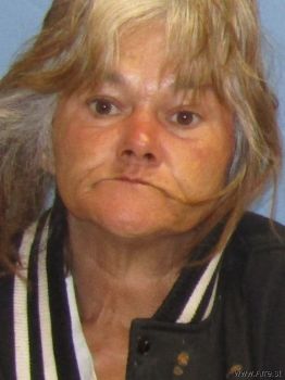 Cindy Leigh Hensley Mugshot