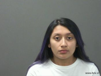 Citlaly  Camarillo Mugshot