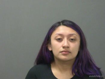 Citlaly  Camarillo Mugshot