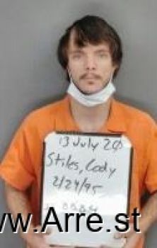 Cody Cameron Stiles Mugshot