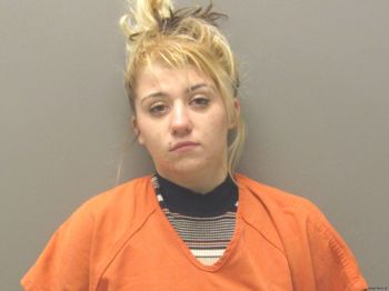 Courtney Ann Johnson Mugshot