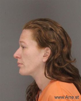 Crystal Dawn Bailey Mugshot