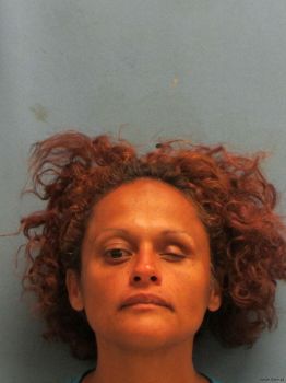 Cynthia Wessels Lopez Mugshot