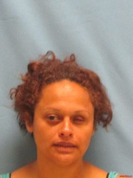 Cynthia Wessels Lopez Mugshot