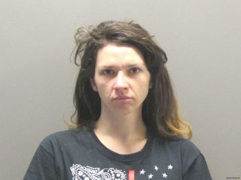 Cynthia Leigh Ward Mugshot