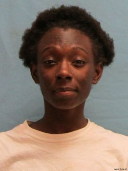 Danielle  Johnson Mugshot