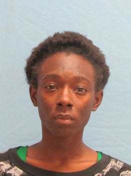 Danielle  Johnson Mugshot