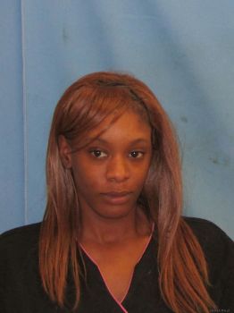 Danielle Shantelle Meyer Mugshot