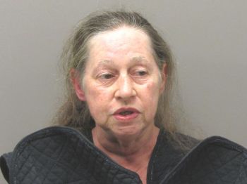 Darlene Jean Fischetti Mugshot