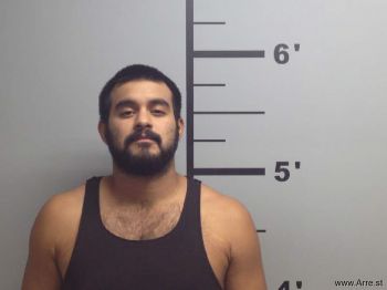 David  Chavez Mugshot