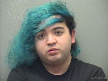 David Eli Maltos Mugshot