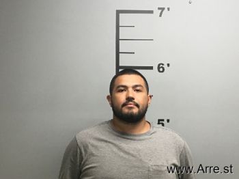 David  Perez-neri Mugshot