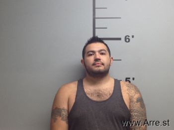 David  Perez-neri Mugshot