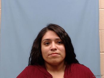 Delia Elizabeth Garza Mugshot