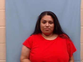 Delia Elizabeth Garza Mugshot