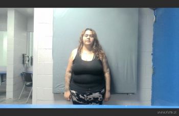 Diana  Martinez Mugshot