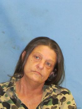 Donna  Hudson Mugshot