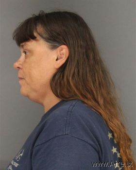 Donna Jean Williams-stanton Mugshot