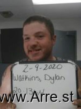 Dylan Tyler Watkins Mugshot