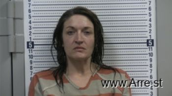 Erin  Hyde Mugshot