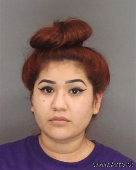 Elizabeth  Delgado Mugshot