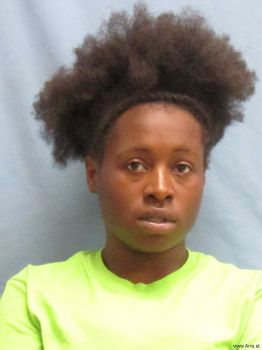 Erica  Hayes Mugshot