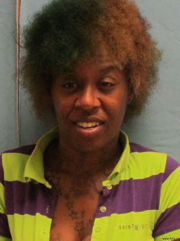 Erica  Johnson Mugshot