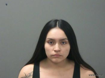 Erika  Romero-rua Mugshot