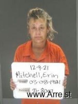 Erin Elizabeth Mitchell Mugshot