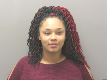 Hailey Rene Burroughs Mugshot