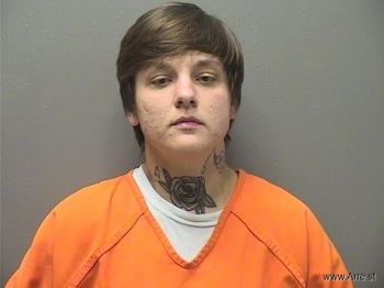 Hayley Renhea Hollingsworth Mugshot