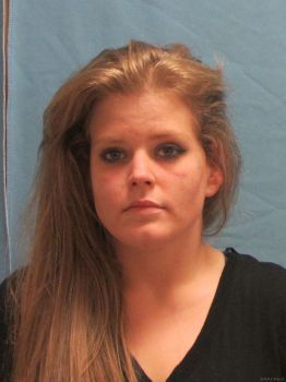 Heather Michelle Hudson Mugshot