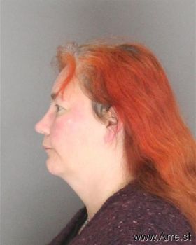 Heather Nicole Turner Mugshot