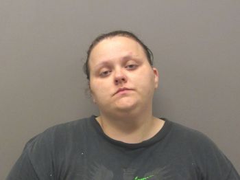 Heather Leann Wilson Mugshot