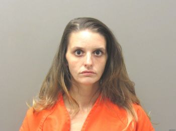 Heather Nicole Young Mugshot