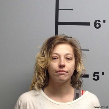 Holly Ann Hendrix Mugshot