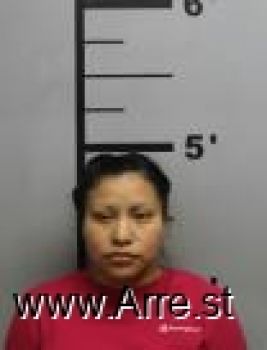 Josephina  Mejia-toribio Mugshot